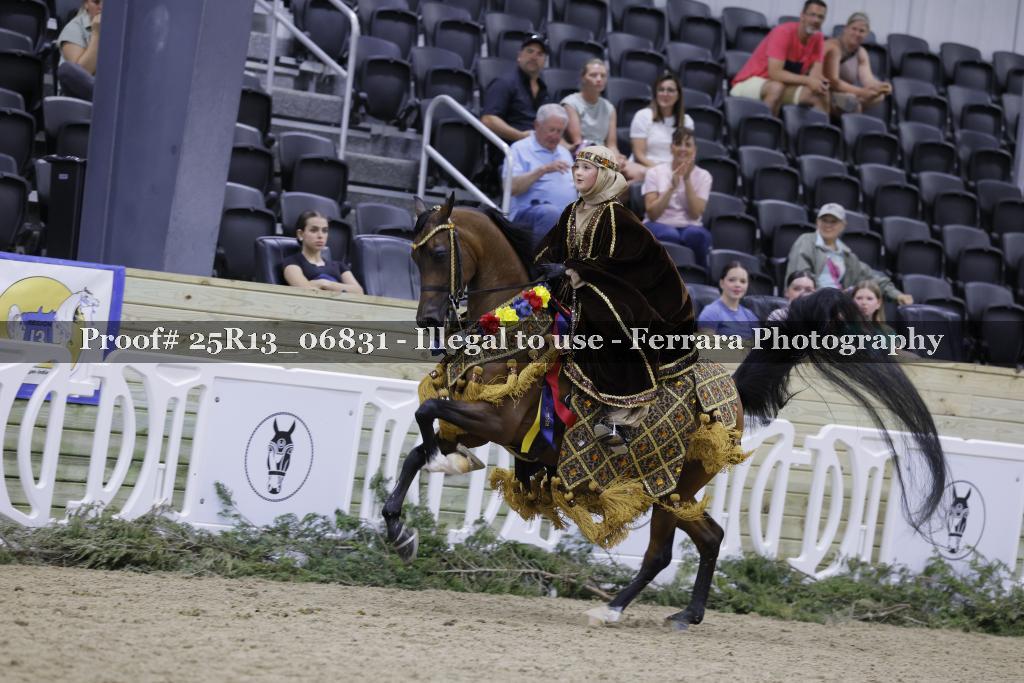 Proof 25R13_06831