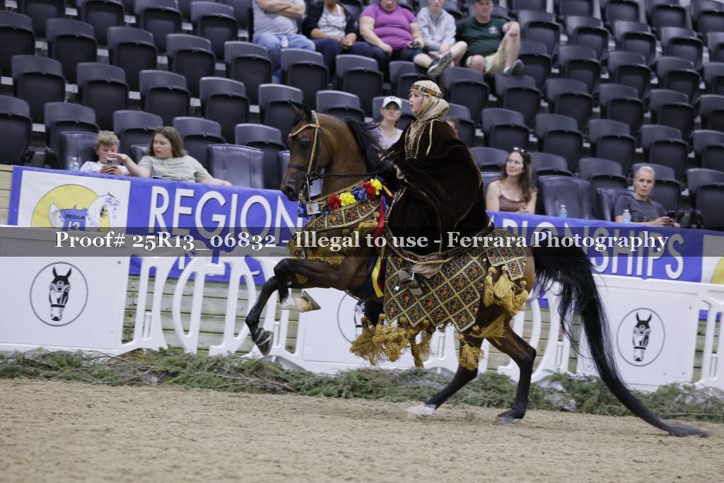 Proof 25R13_06832
