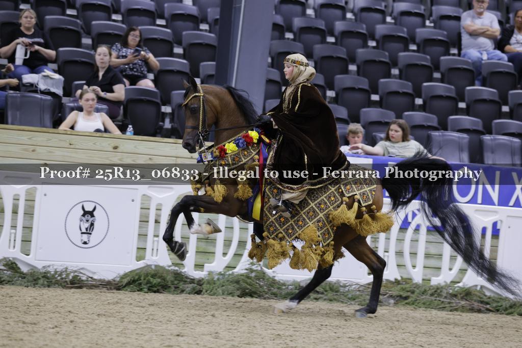 Proof 25R13_06833