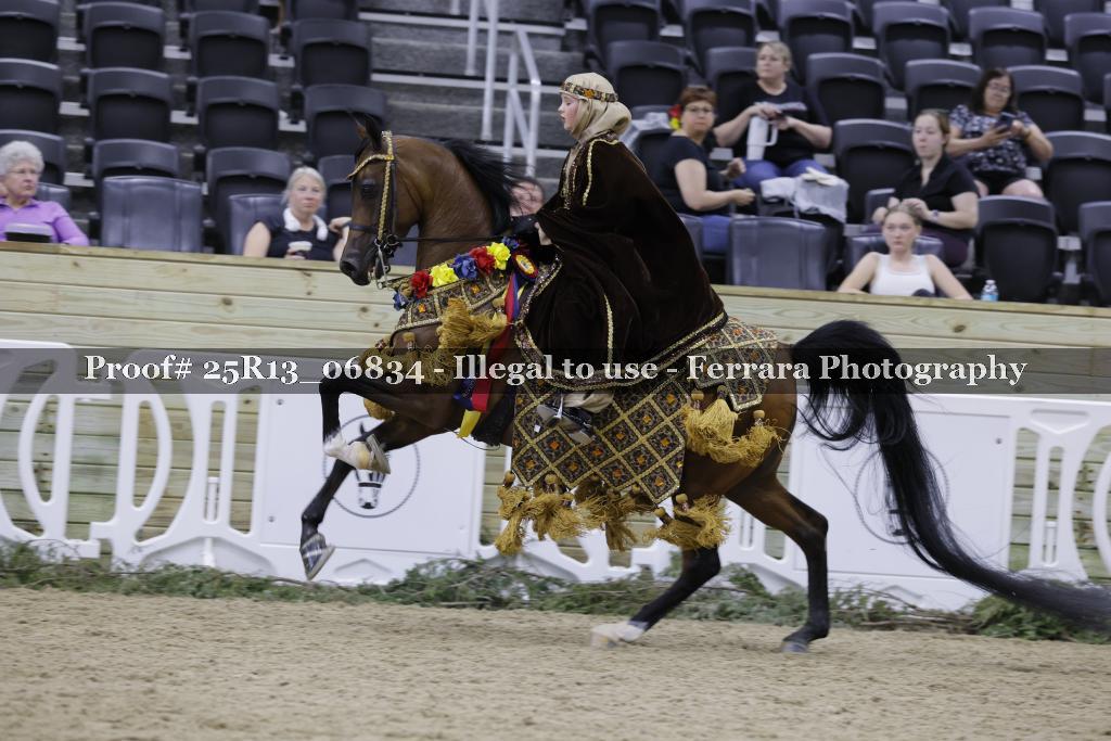 Proof 25R13_06834