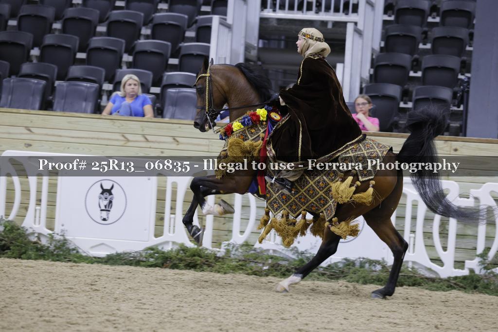 Proof 25R13_06835