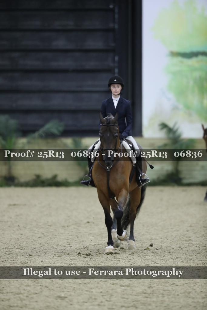 Proof 25R13_06836