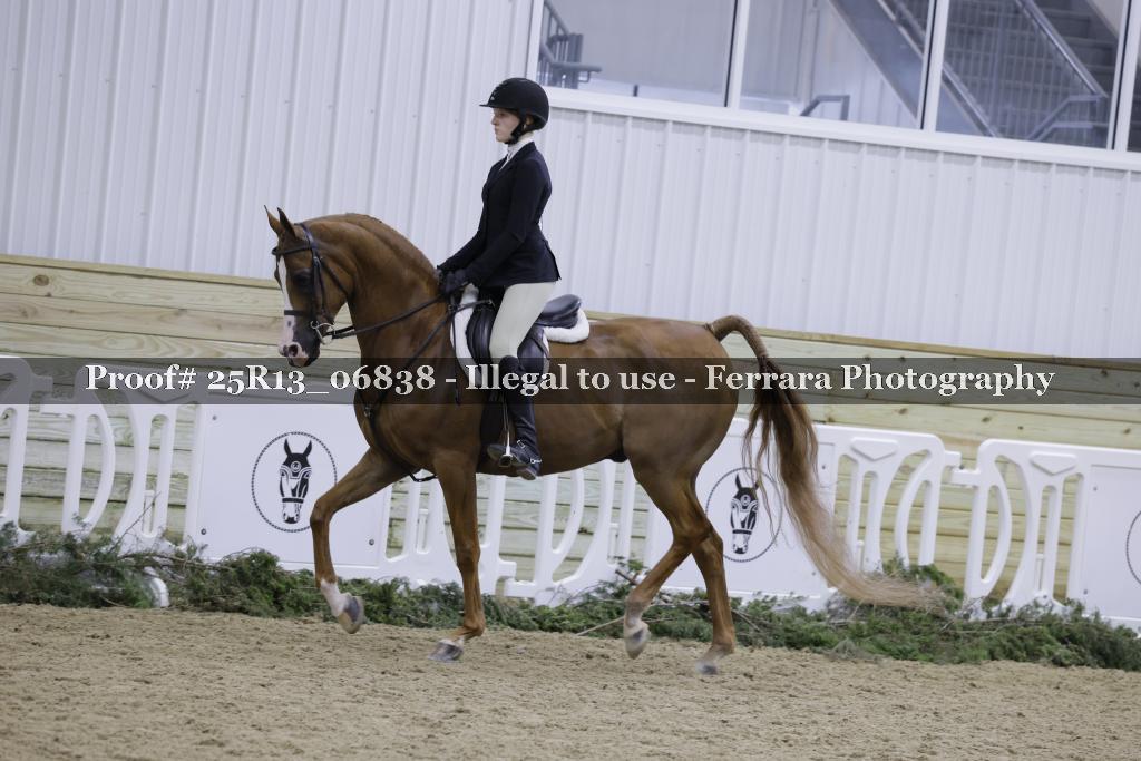 Proof 25R13_06838