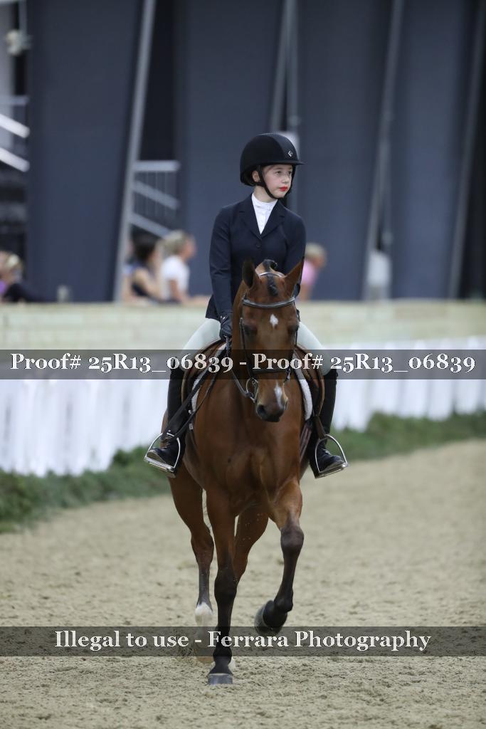 Proof 25R13_06839
