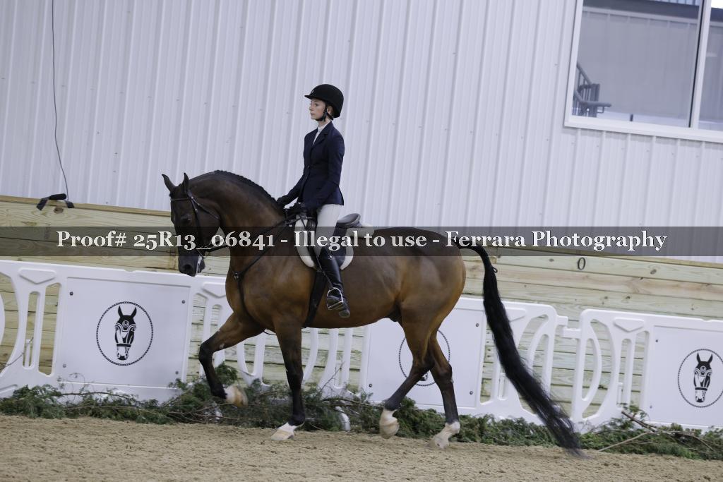 Proof 25R13_06841