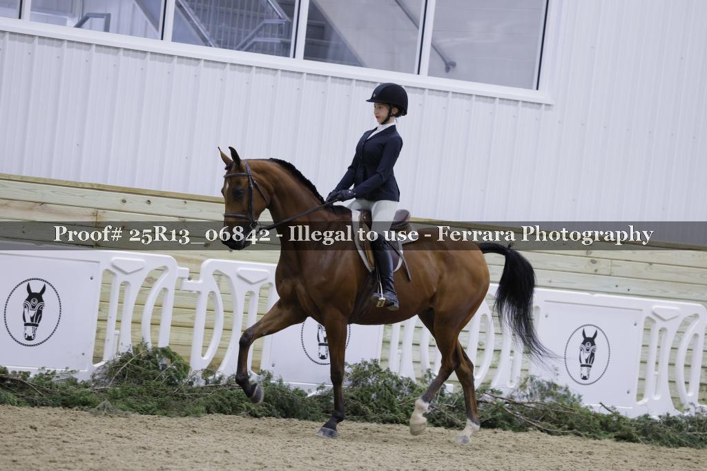 Proof 25R13_06842