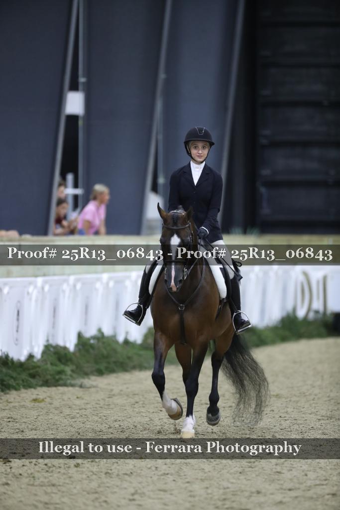 Proof 25R13_06843