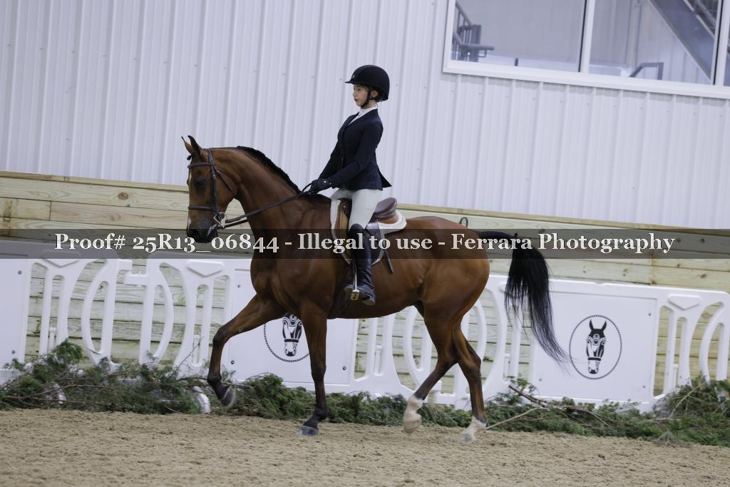 Proof 25R13_06844