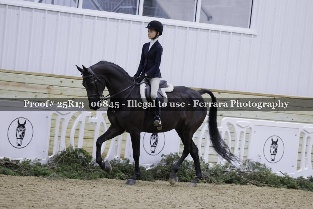 Proof 25R13_06845