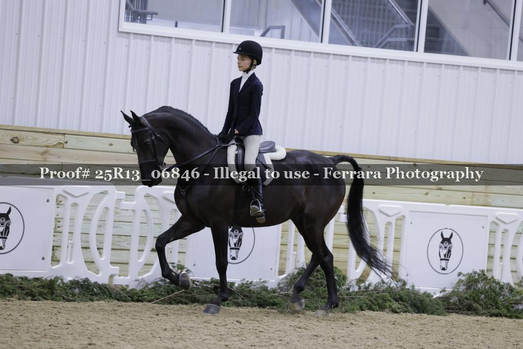 Proof 25R13_06846