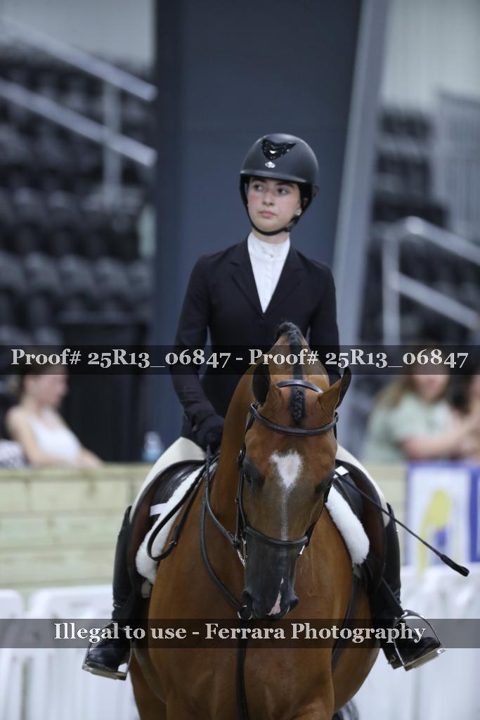 Proof 25R13_06847
