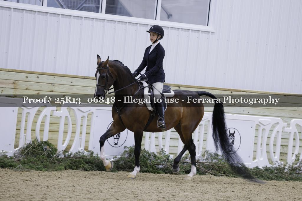 Proof 25R13_06848