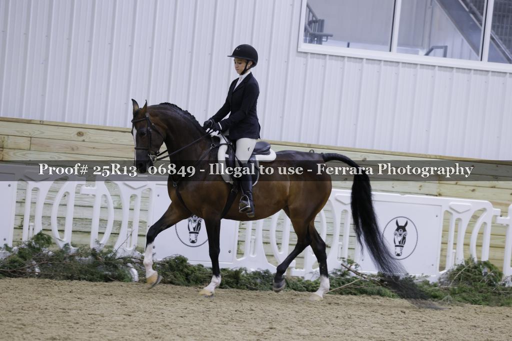 Proof 25R13_06849