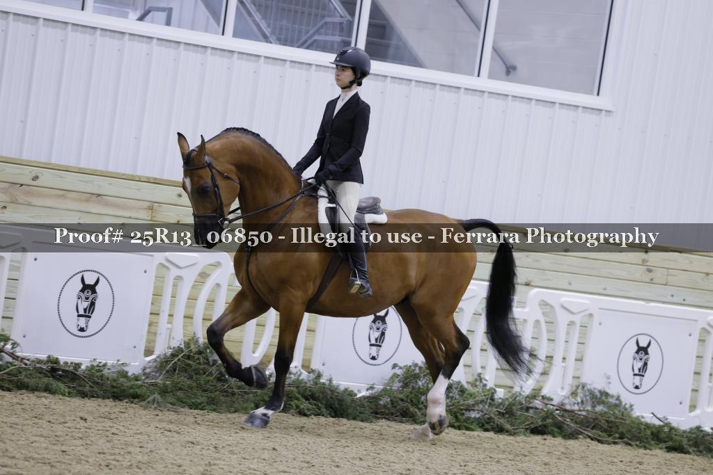 Proof 25R13_06850