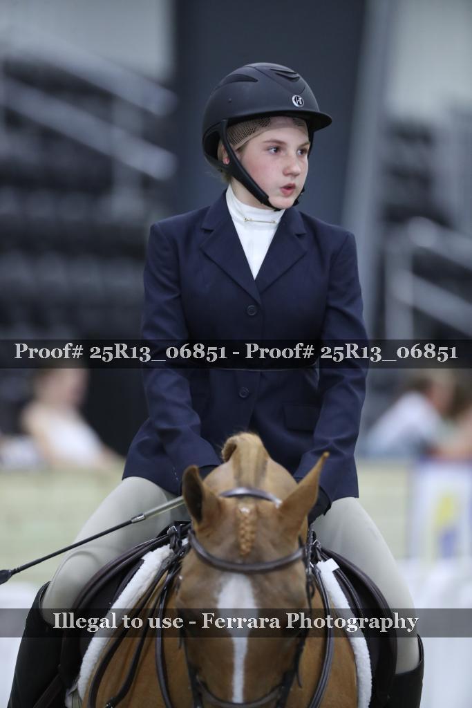 Proof 25R13_06851