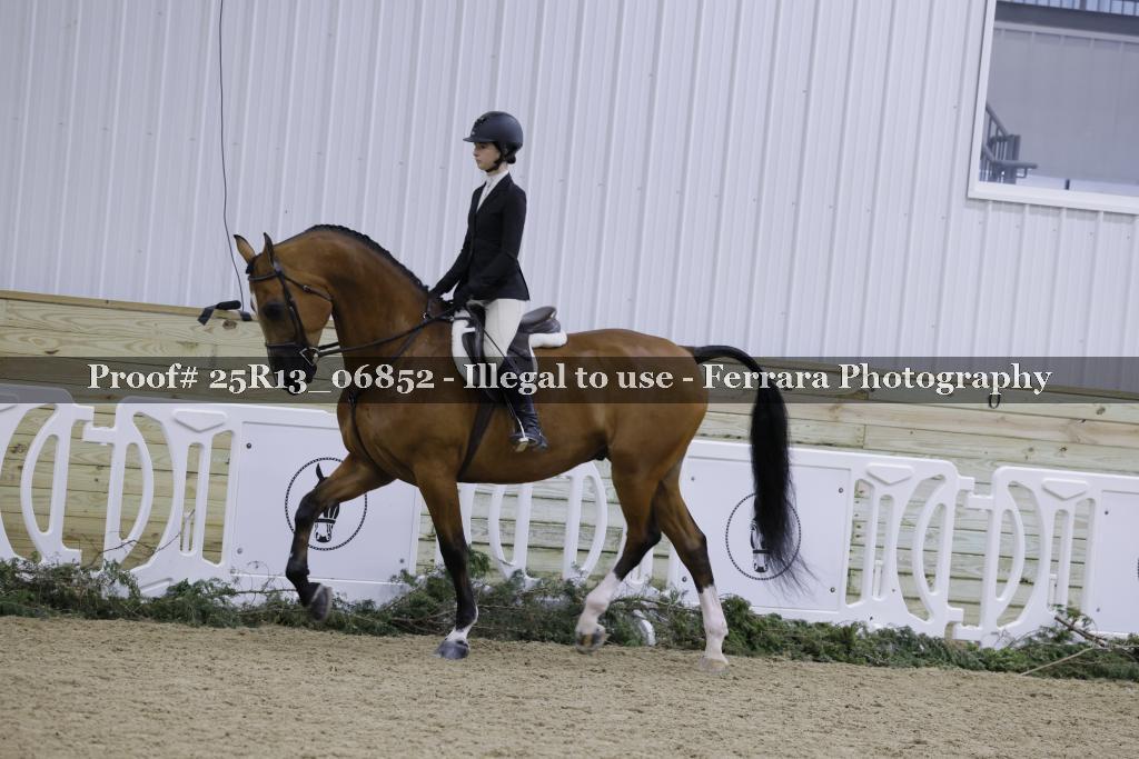 Proof 25R13_06852