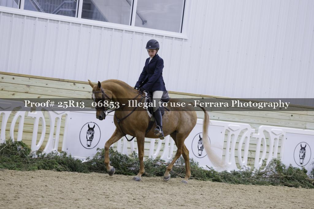 Proof 25R13_06853
