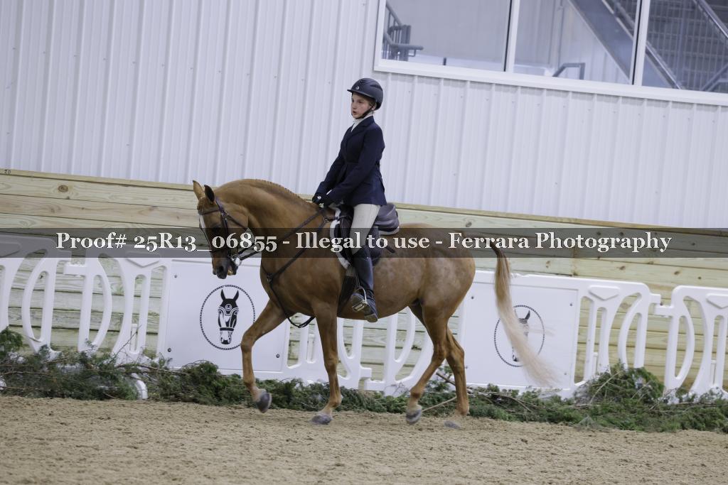 Proof 25R13_06855
