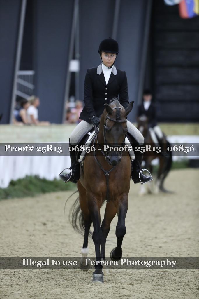 Proof 25R13_06856