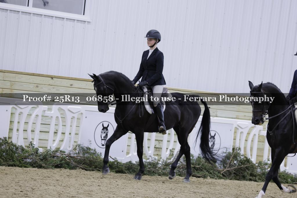 Proof 25R13_06858