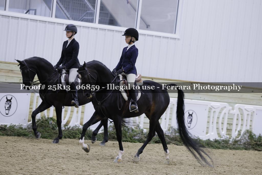 Proof 25R13_06859