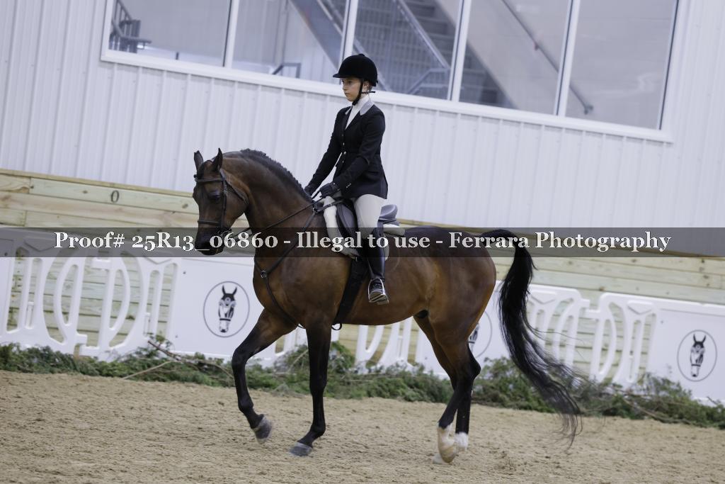 Proof 25R13_06860