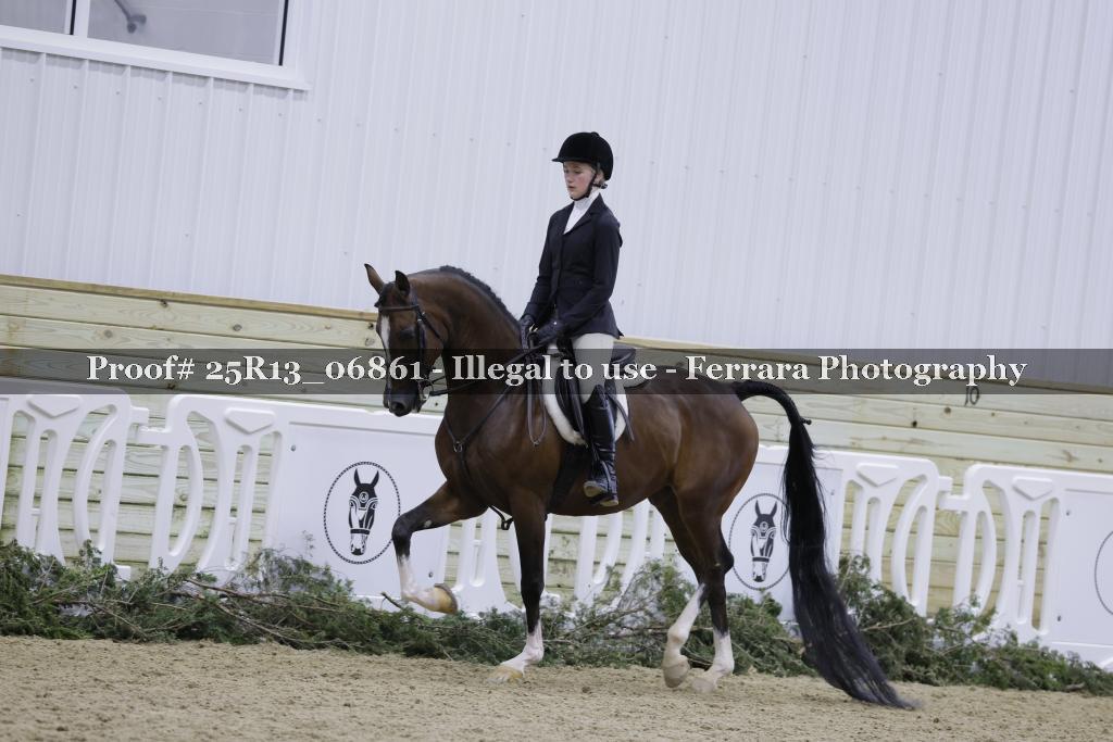 Proof 25R13_06861
