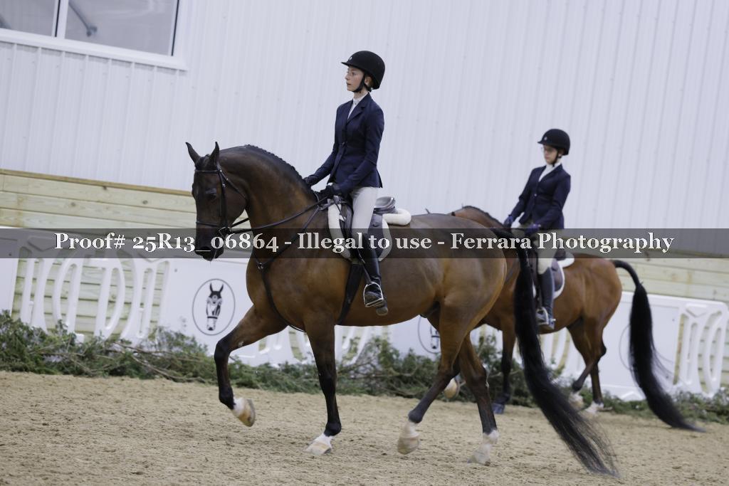 Proof 25R13_06864