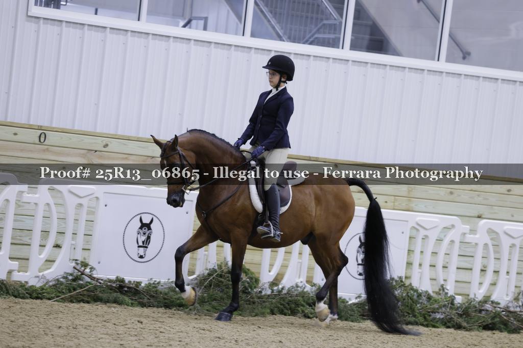 Proof 25R13_06865