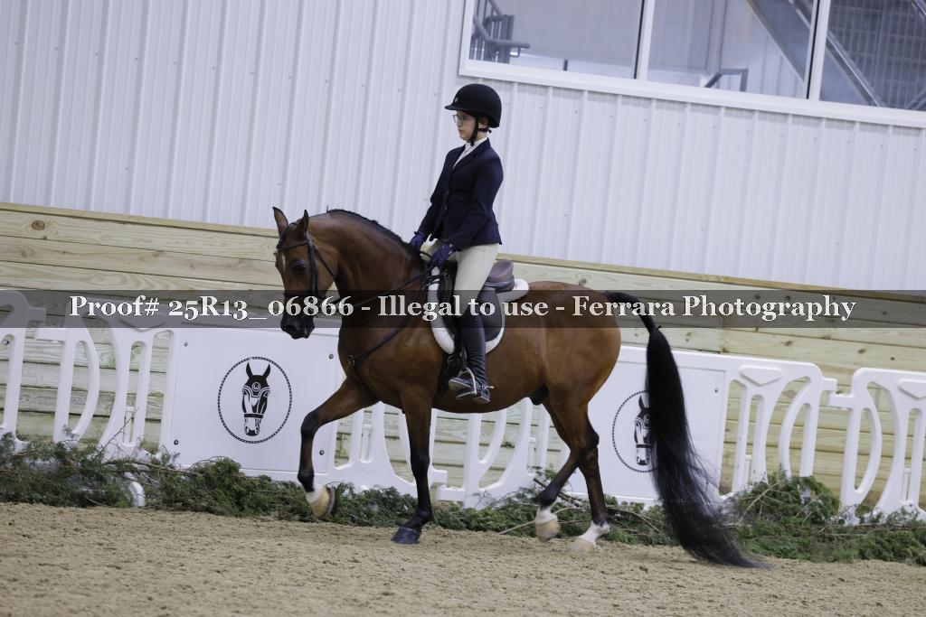 Proof 25R13_06866