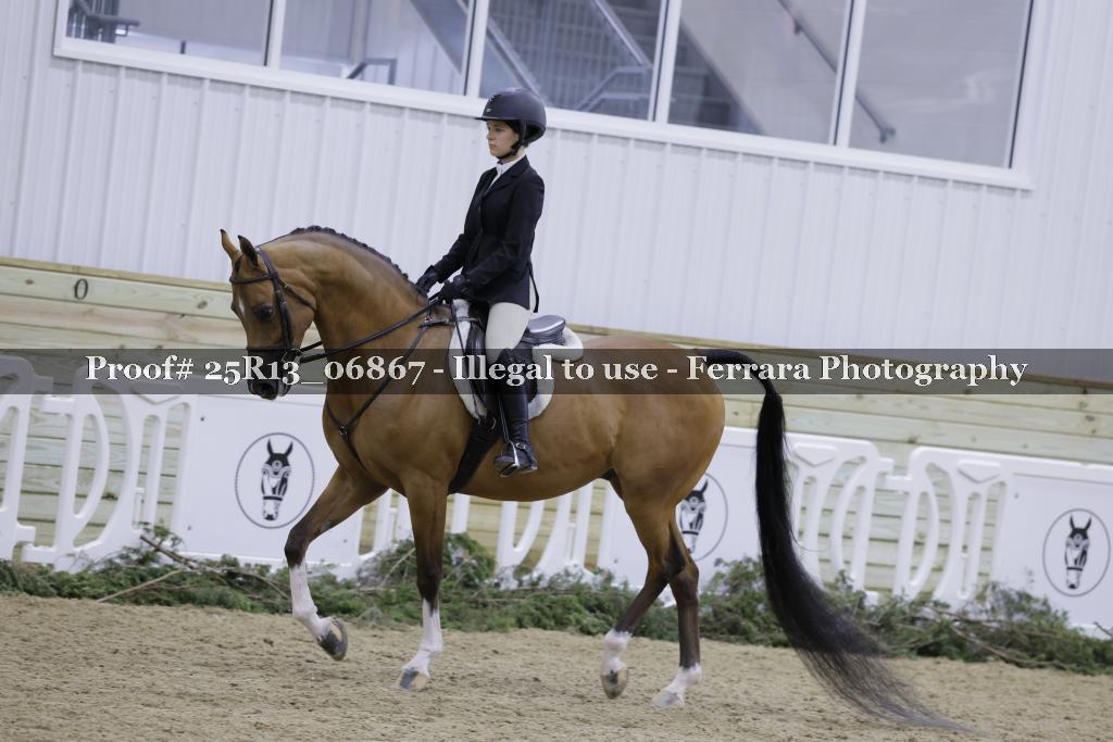 Proof 25R13_06867