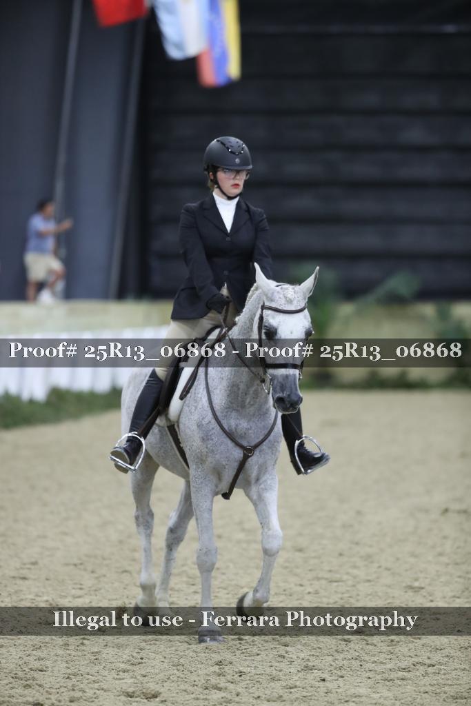 Proof 25R13_06868