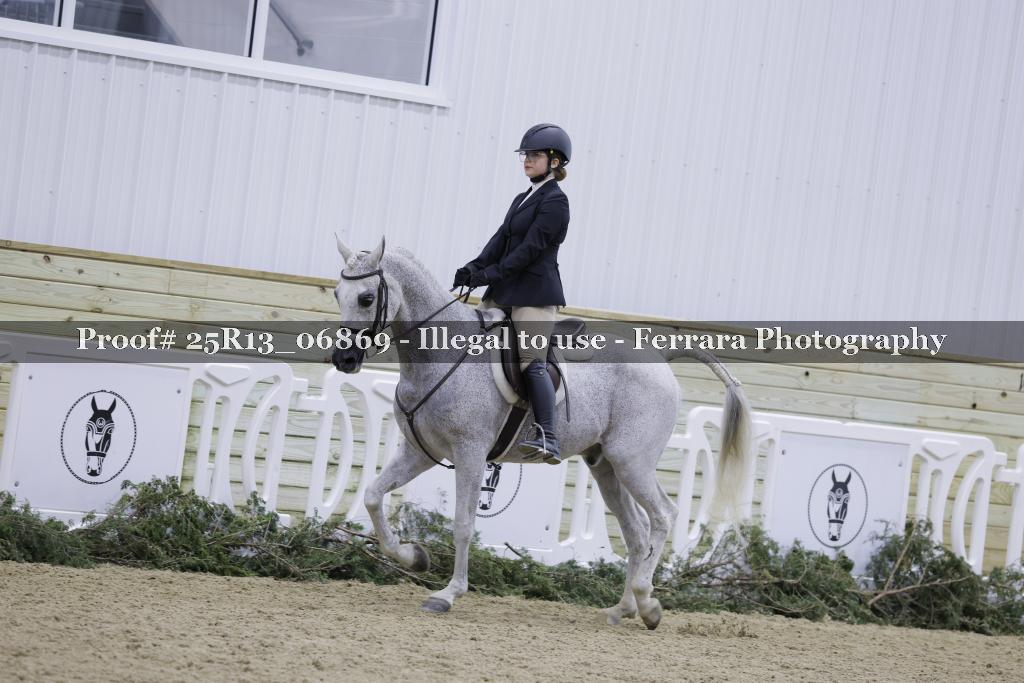 Proof 25R13_06869