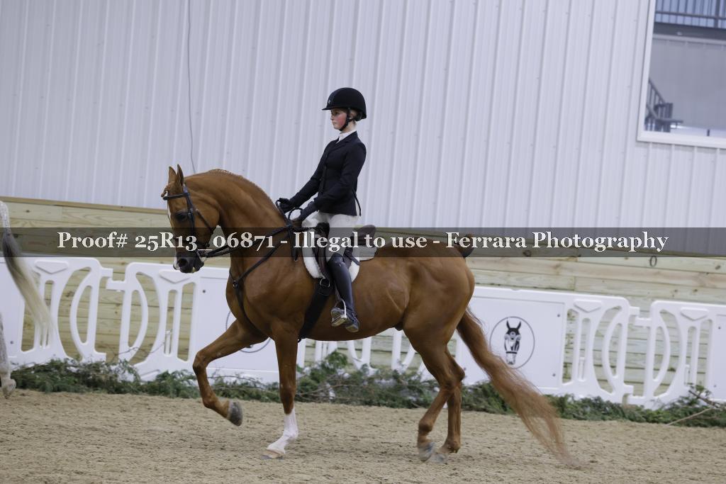 Proof 25R13_06871