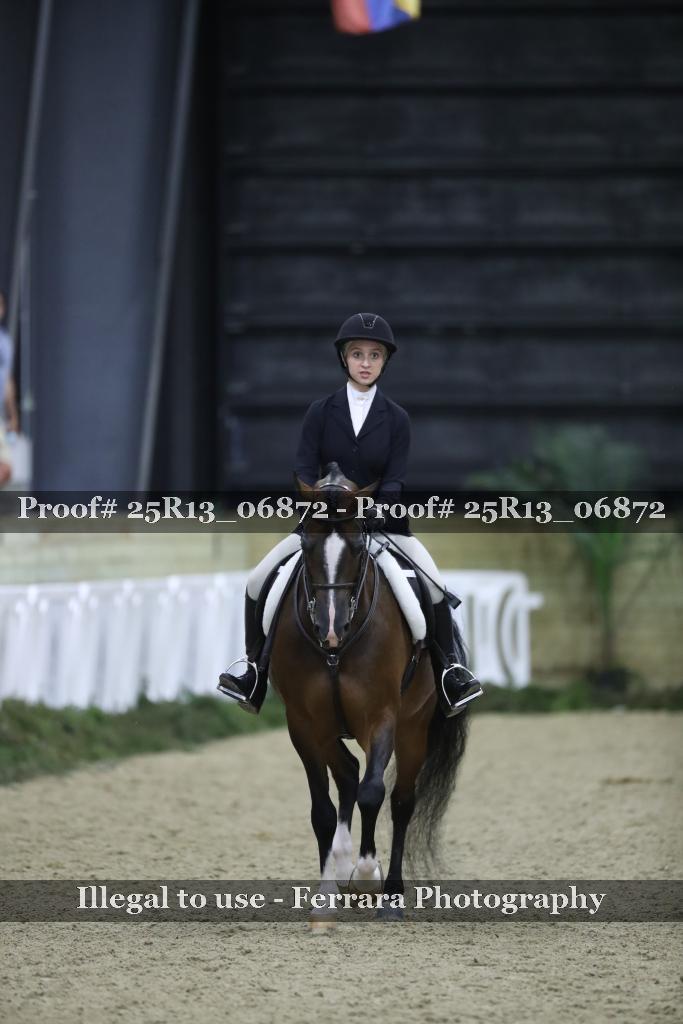 Proof 25R13_06872
