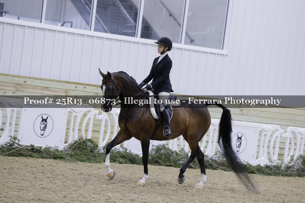 Proof 25R13_06873