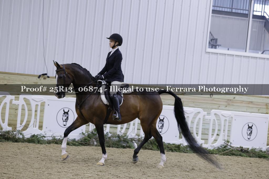 Proof 25R13_06874