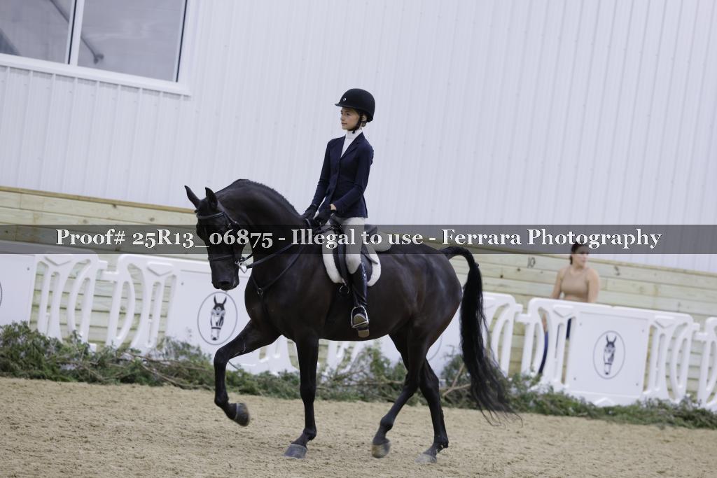 Proof 25R13_06875