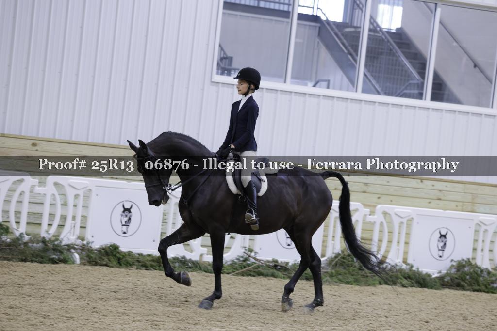 Proof 25R13_06876