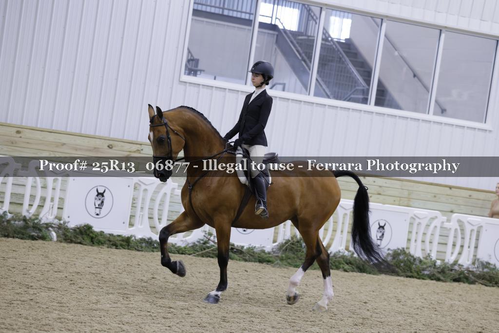 Proof 25R13_06877