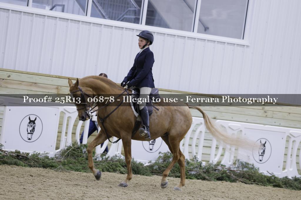Proof 25R13_06878