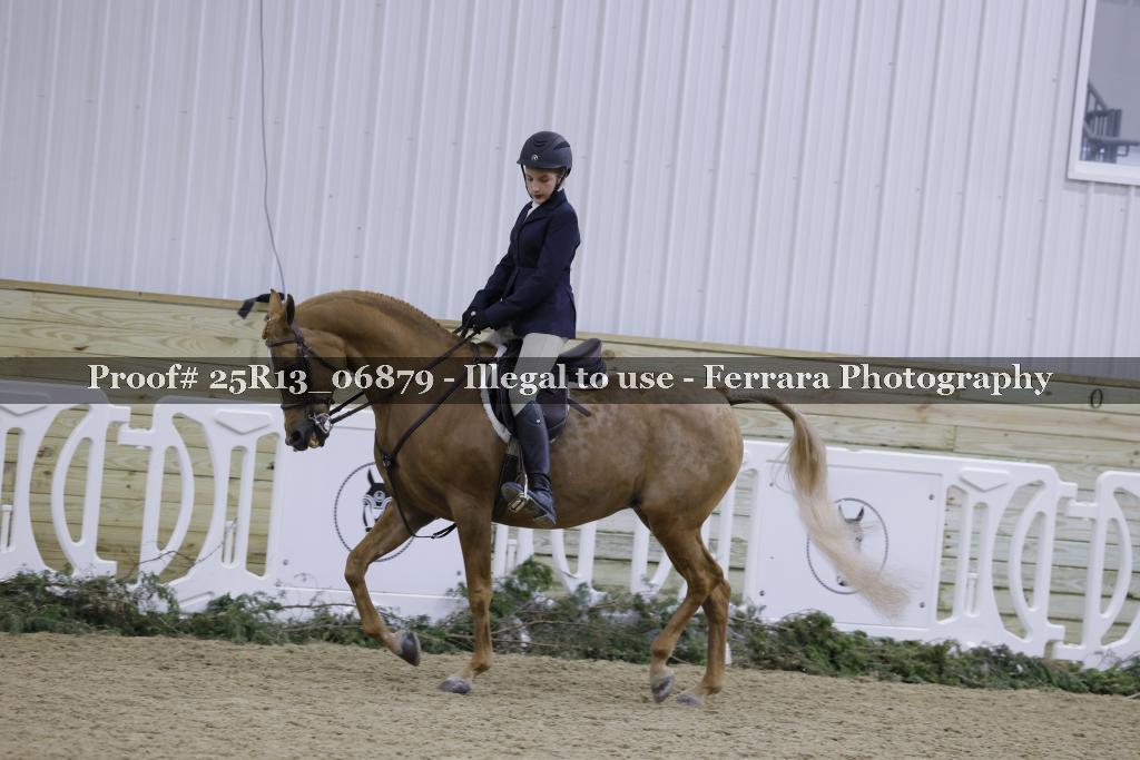 Proof 25R13_06879
