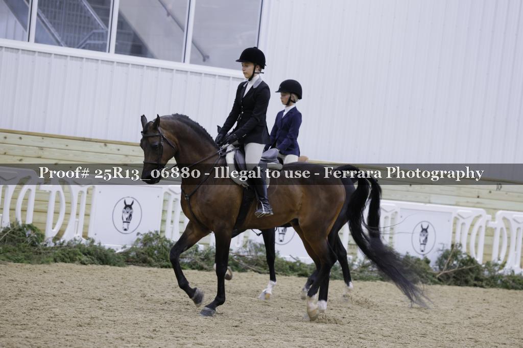 Proof 25R13_06880