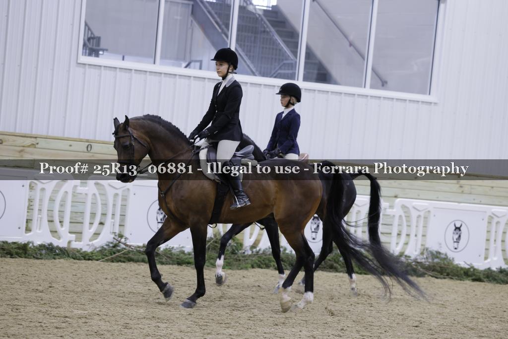 Proof 25R13_06881