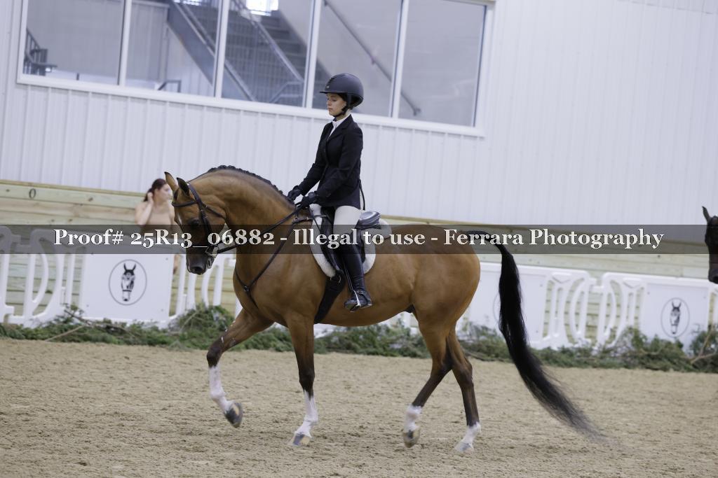 Proof 25R13_06882
