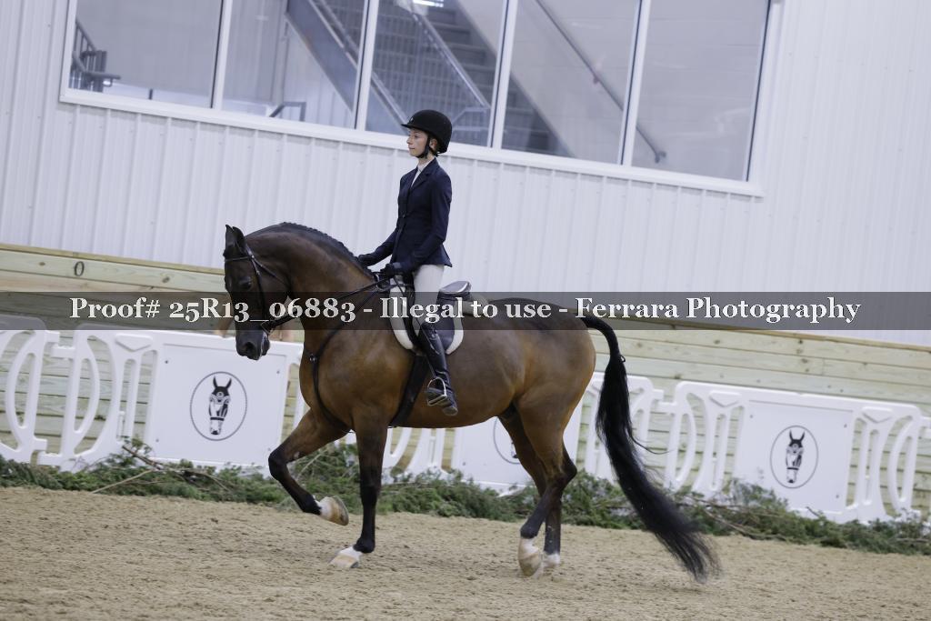 Proof 25R13_06883