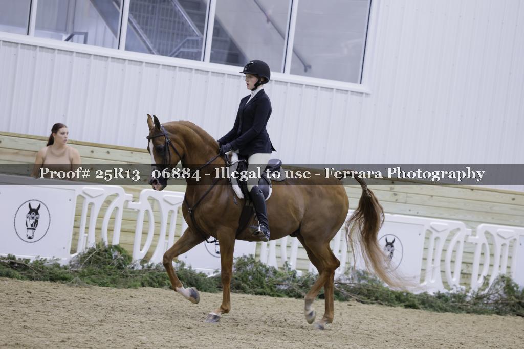 Proof 25R13_06884