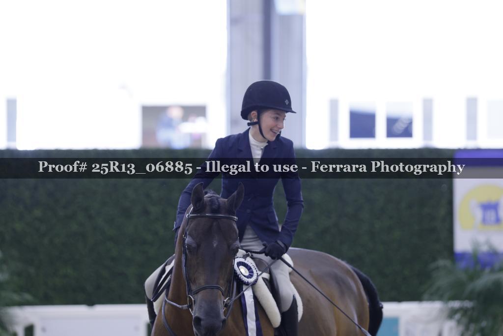 Proof 25R13_06885