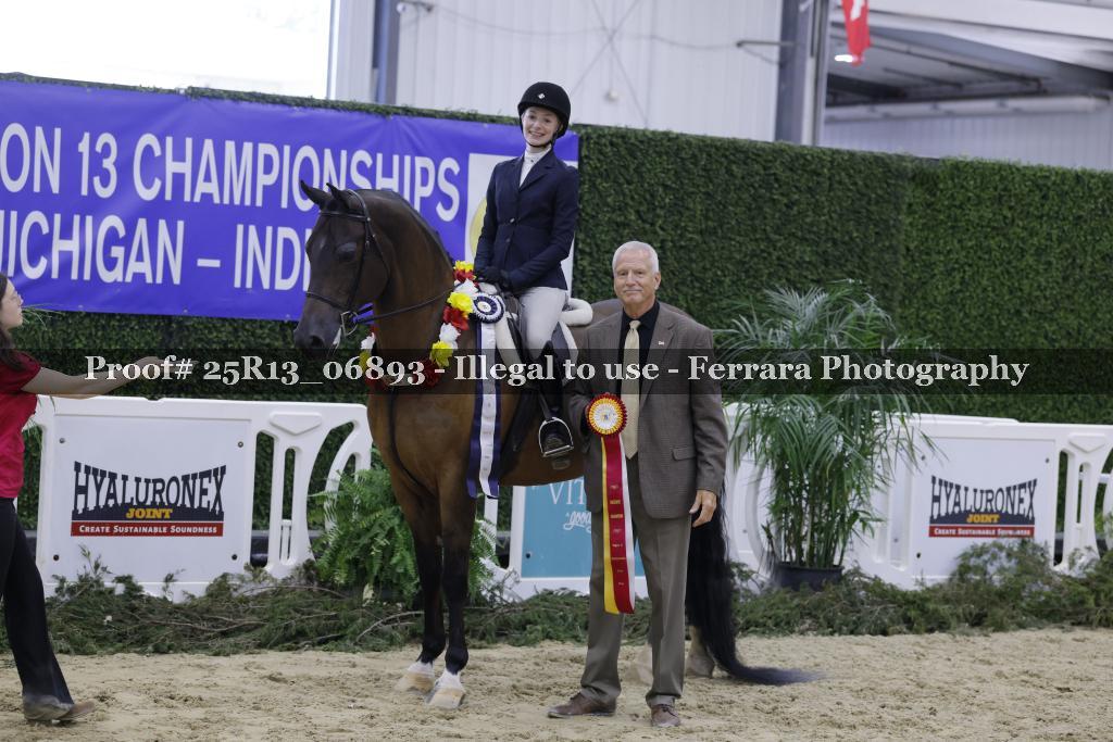 Proof 25R13_06893