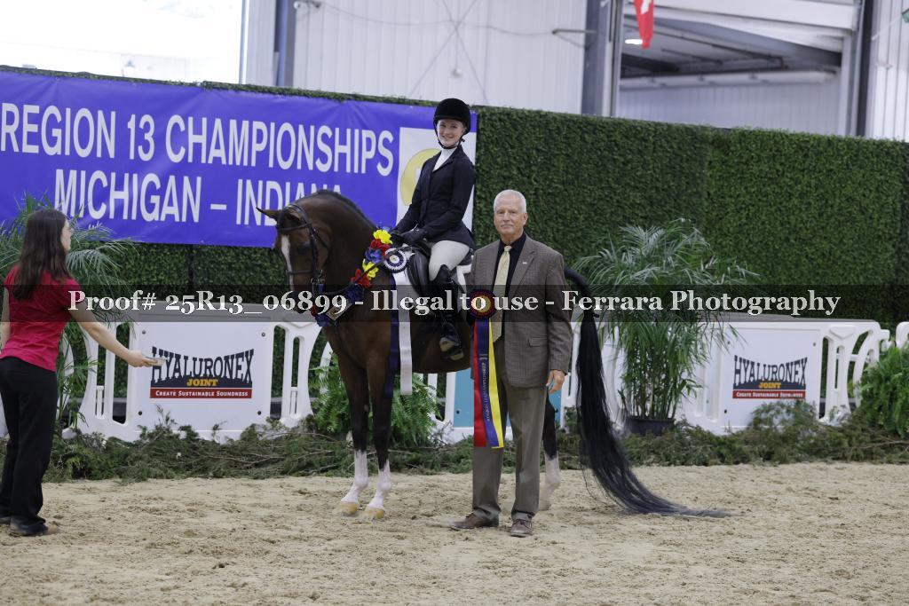 Proof 25R13_06899
